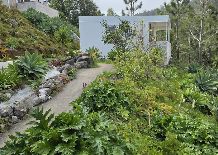 Lejlighed Ocean Heated Pool&jacuzzi View Violet *